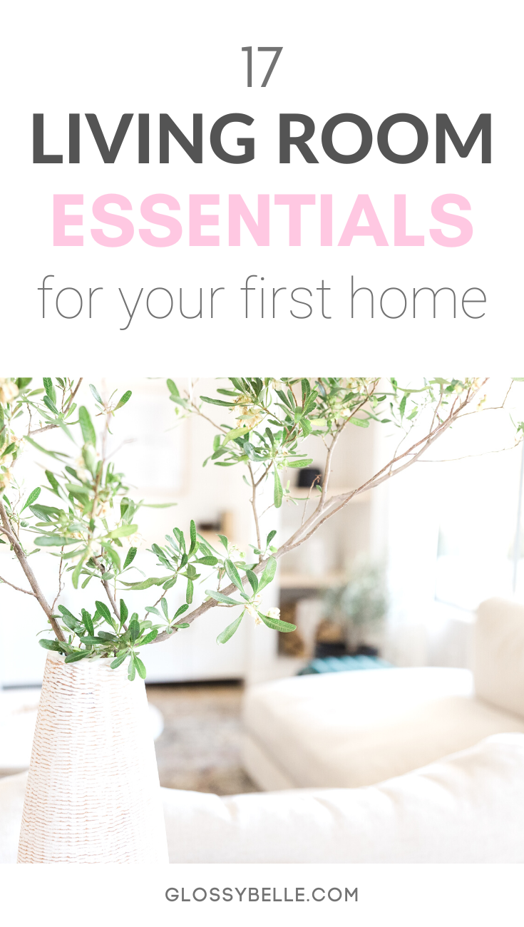 17 Living Room Essentials For Your First Apartment Glossy Belle